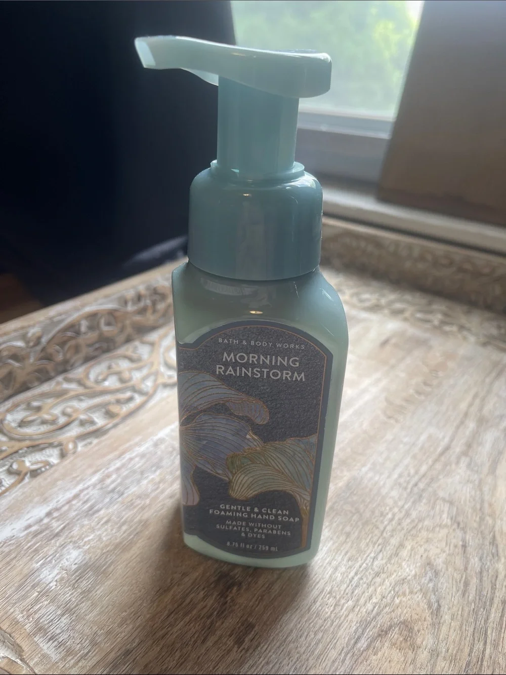 Bath & Body Works Morning Rainstorm Foaming Soap - Sage Green